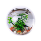 现代特大透明圆形玻璃鱼缸绿萝水培花瓶台面水族工艺品摆件