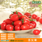 新鲜水果 优质圣女果 小番茄 6斤装 西安三环内配送到家