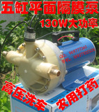 12V24V48V高压洗车泵农用电动喷雾器园林抽水灌溉5缸高压隔膜水泵