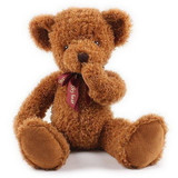 正版害羞熊毛绒玩具大号 泰迪熊公仔 抱抱熊情人节生日礼物布娃娃
