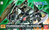 HG Seed R09 1/144 GAT-X252 Forbidden Gundam 禁断高达