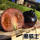【黑骑士H-34】黑番茄种子 四季黑西红柿品种 高端基地 水果番茄