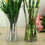 玻璃透明花瓶  时尚简约现代家居用品 富贵竹花瓶批发客厅餐桌