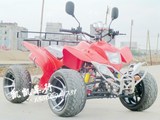 125CC大恐龙12寸铝轮沙滩摩托车ATV F1沙滩车 双铝排气管沙滩车