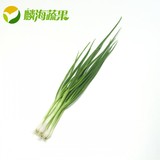 麟海蔬果新鲜蔬菜绿色无公害叶菜小葱香葱100克 只限杭州同城配送