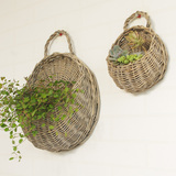 【挂墙篮】插花花器 适合绿萝吊兰等垂叶形植物的花盆 壁挂花篮