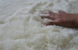 超柔软长毛地毯 纯色地毯 4~4.5厘米毛长 背景拍摄场景白色地毯