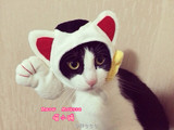 【喵慕斯】宠物变装帽 日本招财猫  猫帽子 变身帽 招财来一发