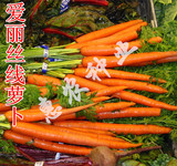 爱丽丝线萝卜种子细长的水果胡萝卜种子30粒