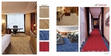 开利簇绒地毯/宾馆走道地毯/卡特鲁普工艺/顶尖设计 兰馨2系列