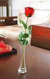 玻璃小花瓶玫瑰花瓶时尚家居水培花瓶客厅餐桌茶几花瓶婚庆道具花