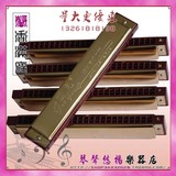 上海国光高级定调口琴 钛金面板银簧特制演奏口琴 24孔D调口琴