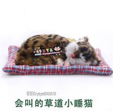 仿真猫咪睡觉的小猫会叫的创意毛绒玩具儿童礼物桌面客厅装饰摆设