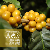 云南黄波旁咖啡豆精品咖啡示范田有机种植熟果超甜订单烘焙250g