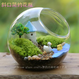透明斜口创意玻璃球形花瓶水晶玻璃鱼缸玻璃花盆多肉苔藓盆栽瓶