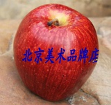 厂家促销 仿真水果仿真苹果 假苹果  红苹果 红蛇果 美术教具静物