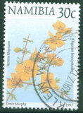 纳米比亚1997年,动植物普票,30c西方紫葳,销1枚(戳位不同)