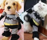 特价 超酷超帅 宠物衣服 狗狗蝙蝠变身装 搞笑蝙蝠侠服 带披风