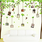 包邮！林间记忆相片贴 卧室客厅沙发电视墙大面积绿色照片树墙贴