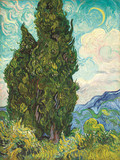 装饰画有框画无框画帆布画油画世界名画客厅风景 梵高两棵柏树二