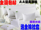 赛蚕丝双人枕 单人枕双人枕头 双人枕芯长枕芯1.2 /1.5米1.8米