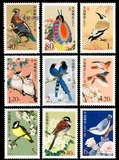 普31/R31 中国邮政鸟普票(全套9枚)  邮票 集邮 收藏