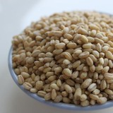 自产自销 农家小麦仁 去皮小麦粒 麦仁米 小麦 有机 五谷杂粮粗粮