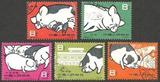 特40 养猪 盖销新中国邮品套票“特”字头特种邮票