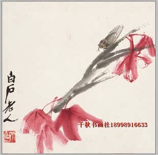牡丹69张打包白描花鸟画工笔画线描稿电子版国画素材底稿高清图片