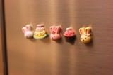 韩国创意冰箱贴田园可爱兔子吸磁铁贴 礼品礼物结婚