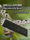 98 99新正品罗技炫光键盘超薄键盘背光键盘K740同款