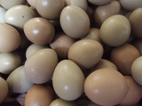 咸野鸡蛋七彩野鸡蛋腌的 咸鸡蛋出油泥腌农家散养30枚包邮现煮咸