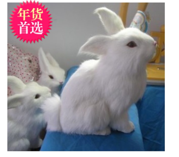梦见兔子生小兔子