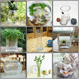 特大玻璃花盆 透明玻璃 花瓶 花盆 水培盆栽 水培绿植专用盆