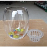 鹅蛋水培玻璃花瓶/透明宜家风格小水培器皿花器/水培瓶插花