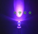 LED灯 5MM紫光灯珠，紫色发光二极管5MM，验钞紫光，灭蚊紫光