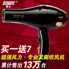 康夫吹风机专业哪个最好 康夫吹风机哪个型号好双十一热...