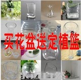 水培玻璃瓶/花瓶 植物透明盆栽花盆玻璃鱼缸多款 圆口瓶送定植篮