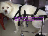 宠物轮椅/残疾狗轮椅/宠物后肢康复训练轮椅/瘫痪宠物代步车/狗车