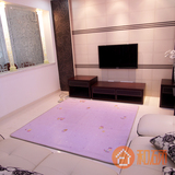 韩基电碳晶电热地毯客厅韩国碳晶地暖毯垫 碳纤维发热地毯200*200