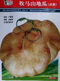 【牧马山地瓜种子】早熟的品种 水果地瓜 沙葛凉薯土瓜 25粒