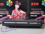 全新樱花高清DVD EVD影碟机 带USB和耳机接口 断电记忆播放
