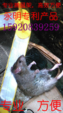 永明专业捕鼠支架 方便布线和收捡 配合电子灭鼠器使用 环保