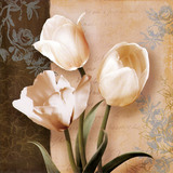 白色玫瑰花美式花卉 装饰画芯客厅卧室 装饰画画心卡纸画芯