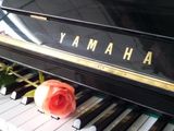 深圳二手钢琴出租雅马哈YAMAHA卡哇伊KAWAI出租 先租后买免租金