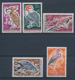 科特迪瓦 1965年 鸟类 雕刻版精美 5全新 MNH