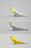 日本正版扭蛋玩具 仿真动物模型 鸟类 虎皮鹦鹉 小鸟 可爱小动物
