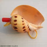 海螺贝壳工艺品超大海螺号 海螺哨 儿童玩具小螺号 地摊热卖 特价