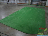 素色纯色绿色地毯新西兰进口羊毛地毯定制任意颜色地毯工程地毯
