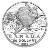 北京预售 2016年加拿大野生动物50for50第四枚野兔银币